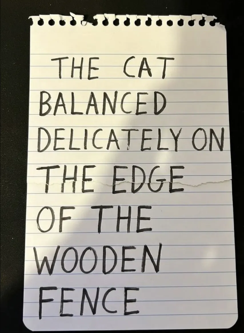 Nano Banana Pro result